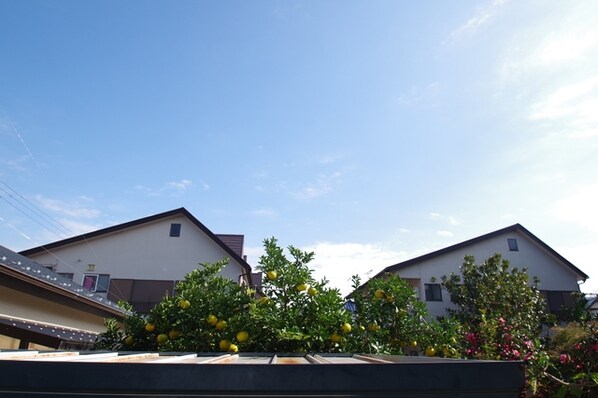 KURA Nakanoshimaの物件内観写真